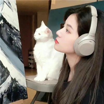 月光光心慌慌